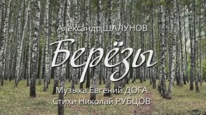 Александр Шалунов - Березы ( Евгений Дога - Николай Рубцов )