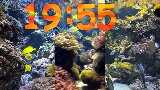 40 Minute Aquarium Timer/Countdown With Relaxing Music ??|Cuenta Regresiva de 40 Minutos con Música смотреть онлайн