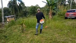 STIHL FS 230....... WARM UP BEFORE REAL WORK