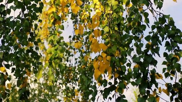 Ошо ИГРАЙ С ЖИЗНЬЮ #Просветление#Пробуждение