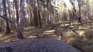 Нива на шинах разного типа (я-192, кама флайм, NН4 без шипов)