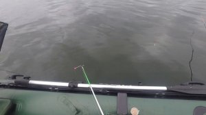 Ловля плотвы с лодки - вот это клев! Озеро Плещеево.