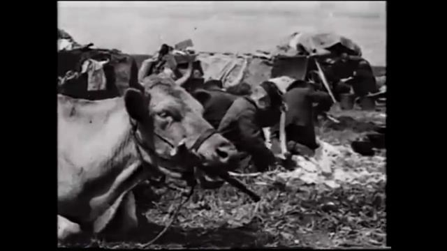 Цена моего счастья смотреть онлайн