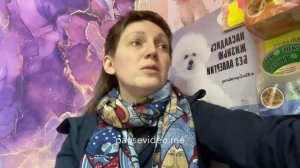 Обзор. Alpha pet, кошки, чёрный альфапет. Треш. Один состав на всех.
