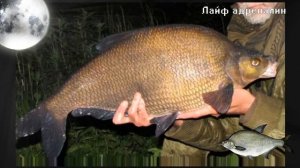 Как на что и где ловить леща ночью?! Секреты ловли леща в ночное время!