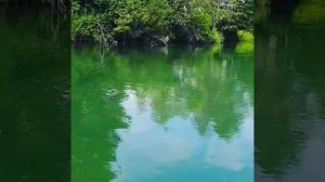 Сплав по реке Пьяна Нижегородская область