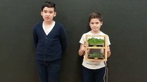 Микрозелень в Школе Иннополис