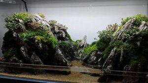 Самая крутая аквариумная галерея Шанхая