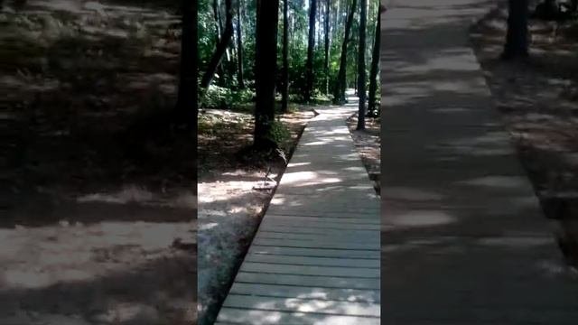 Комcомольское озеро.Казань.Дербышки.