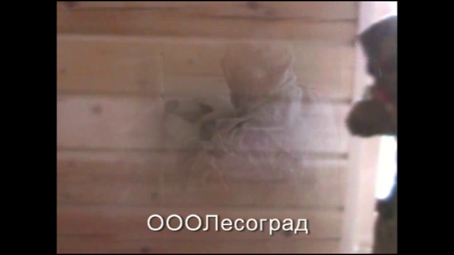 Шлифовка деревянных стен