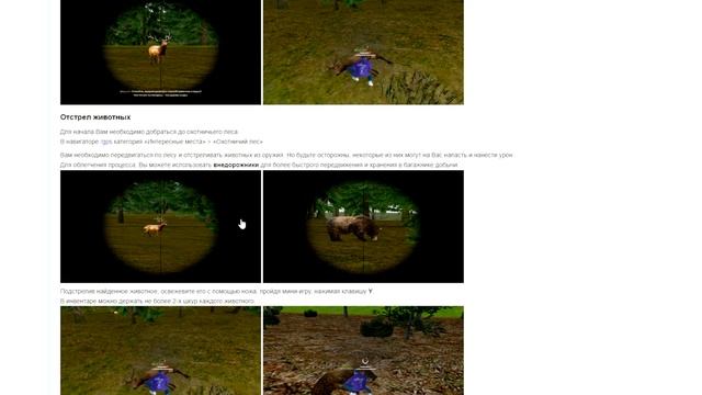 СЕКРЕТНЫЙ САЙТ на РАДМИРЕ. в GTA RADMIR RP