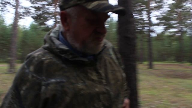 Как пережить ночь, заблудившись в лесу
