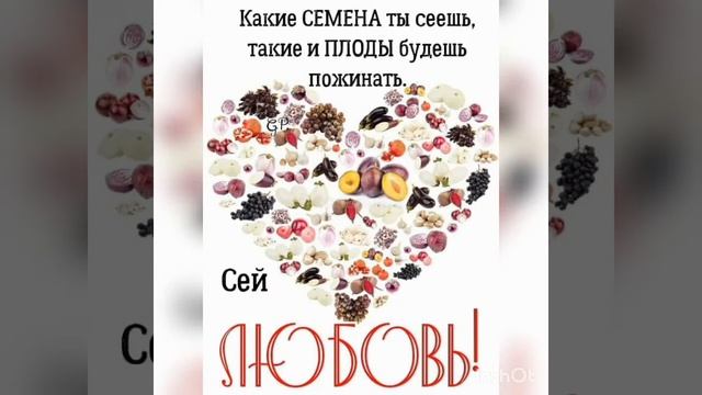ВЕСЕННИЙ РАССВЕТ. Читает Новожилова З. Г. Автор Бондаренко Любовь. смотреть онлайн