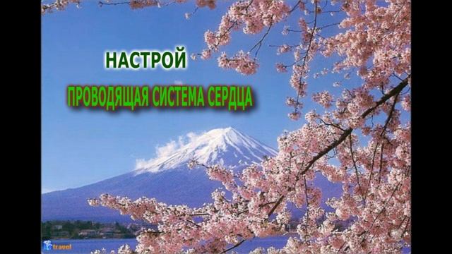 НАСТРОИ СЫТИНА Г Н ДЛЯ ЗДОРОВЬЯ СЕРДЦА, смотреть онлайн