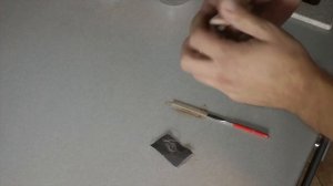 Выращиваем лотос орехоносный из семян дома
