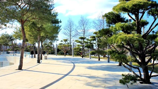 Прогулка в парке им. Галицкого, Краснодар