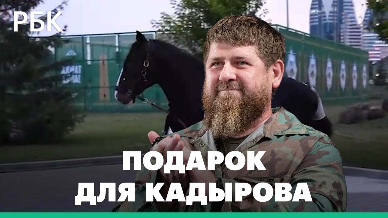 Кадырову подарили. Подарок Кадырову лошадь. Рамзан Кадыров на лошади. Конь Кадырова Титан. Кадыров и конь.