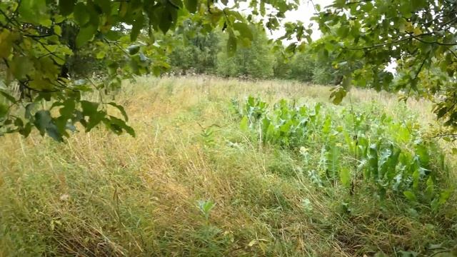 Тестируем нож \ Едем на дело. смотреть онлайн