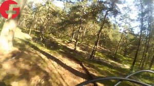 Круг кросс-кантри Ярославль (Вакарево)