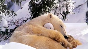 Верка Сердючка- Мне так нужна любовь твоя