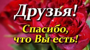 Песня ,,Спасибо вам, друзья!" Brat Bruder.