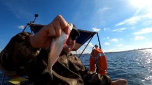 РЫБАЛКА С КАТЕРА В СЕВАСТОПОЛЕ ЛОВЛЯ СЕЛЕДКИ И ЛУФАРЯ НА САМОДУРЫ