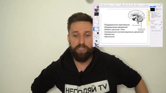 24  ДЕНЬ ЗДОРОВОЙ ЖИЗНИ - КВАНТОВОЕ СОЗНАНИЕ