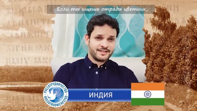 Выучи русский язык смотреть онлайн