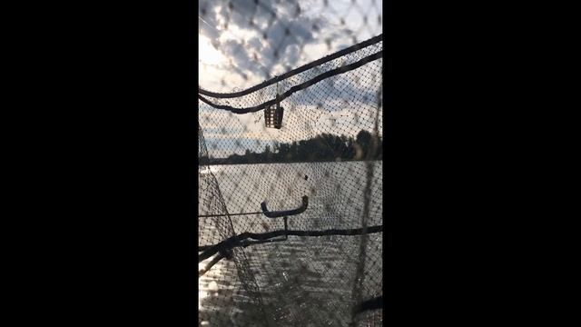 Фидер в городе (Саров).Как ловить плотву и леща на фидер в городе смотреть онлайн