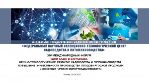 Дни сада в Бирюлево, 16 августа 2024 г.