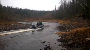 Водомет Карась,Абакан 430, Ямаха F20, через перекаты.