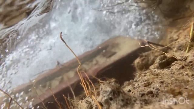 Year Ma akla raha chata hu??#camera#orginal#100kview#rohit#arif60….??? смотреть онлайн