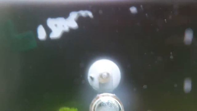 Aquascape