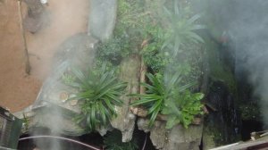 Экскурсия в тропический лес в центре Дубая - The Green Planet Dubai review - влог