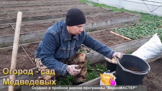 Как подготовить грядку для посадки озимого чеснока смотреть онлайн