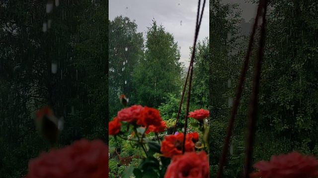 Доброе утро!