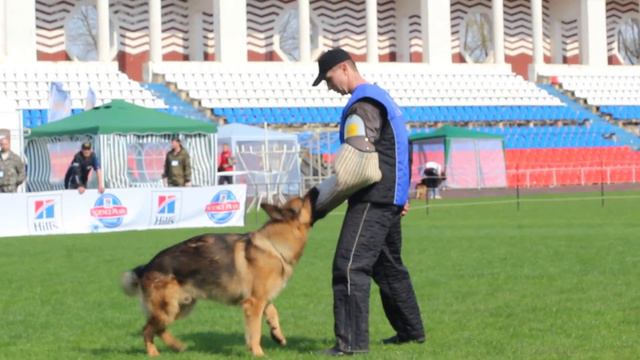 выставка Смоленск 1 2 мая КЧК РСЛНО 125 смотреть онлайн