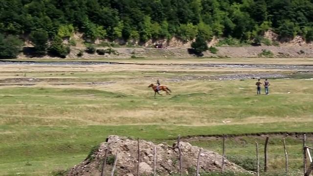 Chanchqeris Bolo Dogi / последний заезд водопада на скачках смотреть онлайн