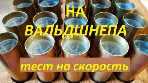 Латунки на вальдшнепа через хрон. ТОЗ-34