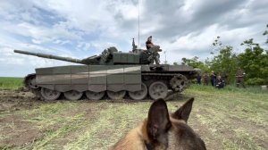 Здесь даже воздух другой