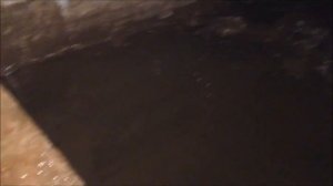 1. Разведение раков в домашних условиях. Разведение, передержка речных раков.