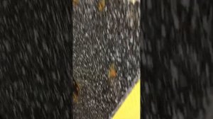 Колонки ЛОМО КИНАП 25А-78У4