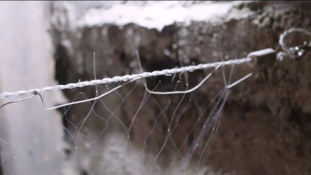 ПОСАДКА СЕТИ. ДВУХСТЕНКА смотреть онлайн