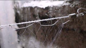 ПОСАДКА СЕТИ. ДВУХСТЕНКА