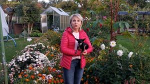 Как выглядит дача в сентябре в Германии. Дача в Германии. @galabum