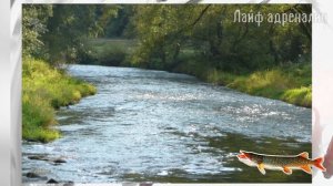 Красивая девушка научит вас ловить щуку в июне на спиннинг с берега! Где ловить щуку летом в июне?