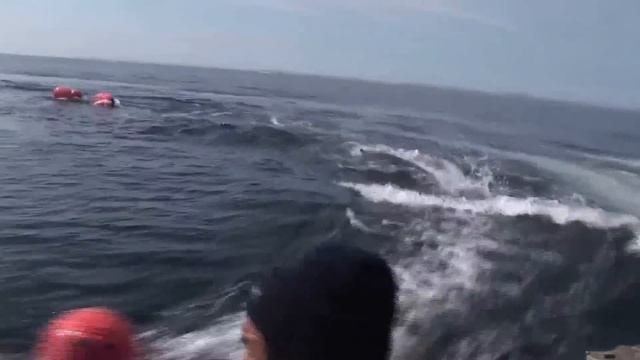 Промысел кита. (Охота на кита №1) смотреть онлайн