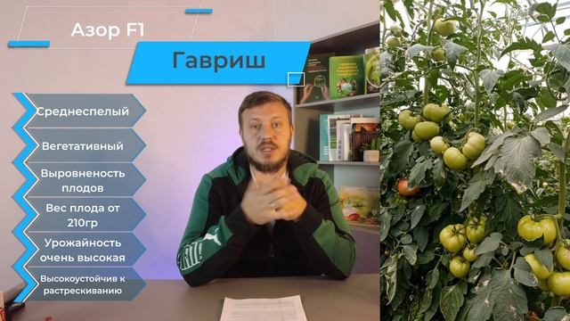 Топ 10 томатов на 2023. Только лучшие гибриды