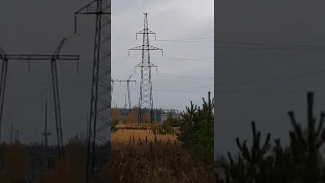 Аленино 8 га 65 км от МКАД дачное строительство смотреть онлайн