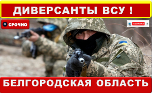 Кадыров рассказал о проникновении диверсантов ВСУ в Белгородскую область